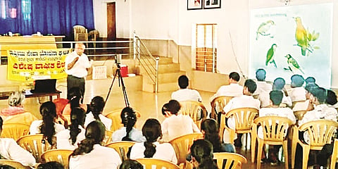 28.npk-2