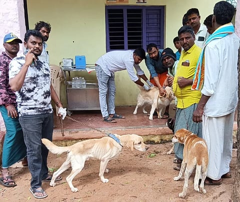 ಸಿರಿಗೇರಿ ಗ್ರಾಮದಲ್ಲಿ ಬೀದಿ ಮತ್ತು ಸಾಕಿದ ನಾಯಿಗಳಿಗೆ ಪಶು ವೈದ್ಯಕೀಯ ಪರೀಕ್ಷಿಕ ಬಿ ವಿಜಯಕಾಂತ್ ರೇಬಿಸ್ ಲಸಿಕೆ ನೀಡಿದರು.