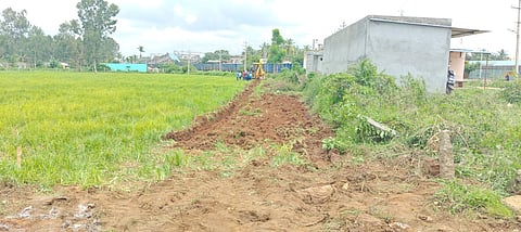DABASPETE JAMINU DANA