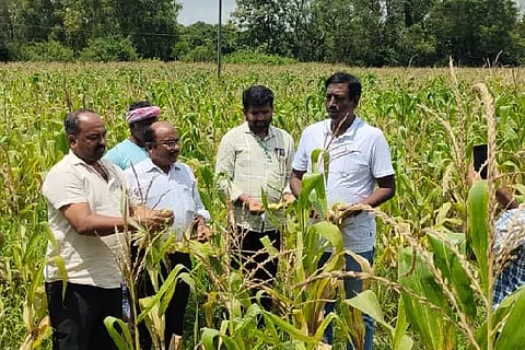 District Collector inspected the crop damage