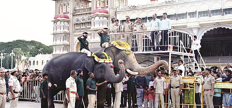 mysore