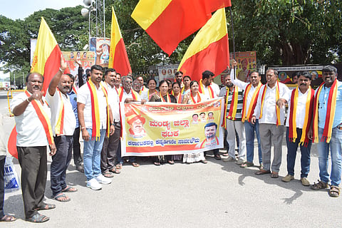 Karave activists protest Mandya