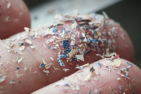 Untitled design (6)