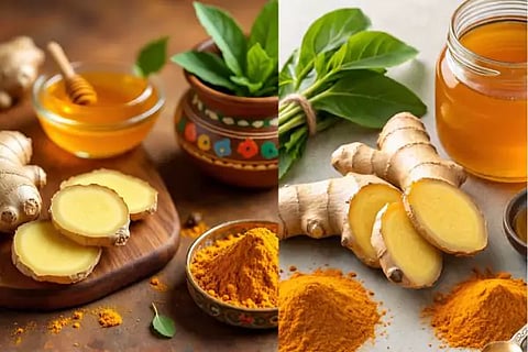 Tulsi, Turmeric