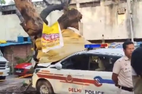 delhi