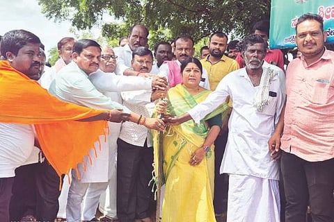 dvd mla