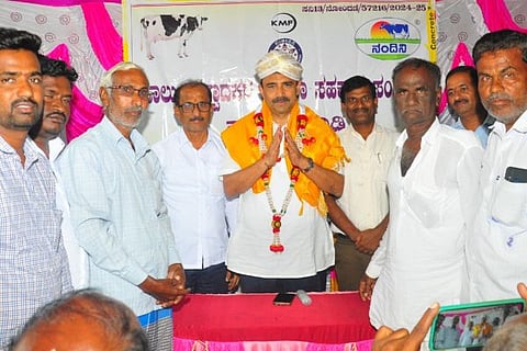 dvd mp news