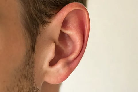 ear