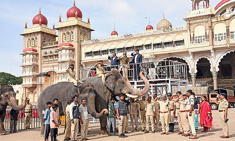 mysore