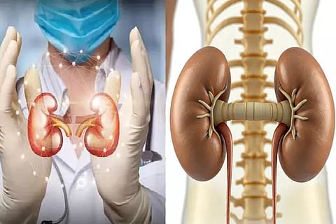 Kidneys Health