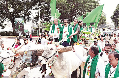 mysore dasara (2)