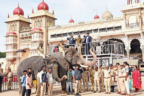 mysore