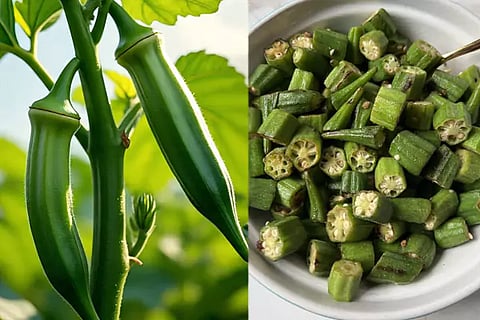 Okra