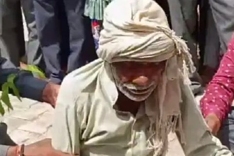 old man was chased by a snake and bitten 14 times