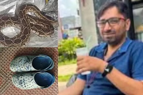 Snake Bite