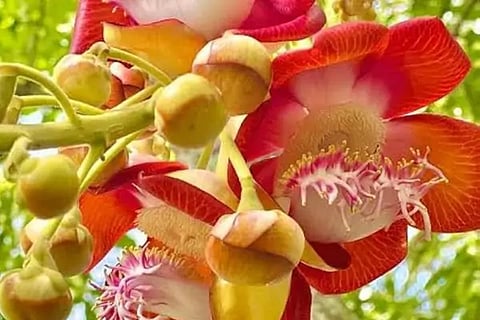 untitled-design-2025-09-15t140838456-68c7d0a35c309