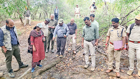 ಪಚ್ಚೆದೊಡ್ಡಿ ಅರಣ್ಯ ಪ್ರದೇಶದಲ್ಲಿ ಹುಲಿ ಹತ್ಯೆಯಾದ ಸ್ಥಳಕ್ಕೆ ಪಿಸಿಸಿಎಫ್ ಸ್ಮಿತಾ ಬಿಜ್ಜೂರು ಹಾಗೂ ನೇತೃತ್ವದ ತಂಡ ಭೇಟಿ ನೀಡಿ ಪರಿಶೀಲಿಸಿತು. ರಮೇಶ್‌ಕುಮಾರ್, ಭಾಸ್ಕರ್, ಸುರೇಂದ್ರ, ಮನೋಹರ್ ಸ್ವಪ್ನಿಲ್ ಅಹಿರೆ, ವಿರಾಜ್ ಹೊಸೂರ್ ಇತರರು ಇದ್ದರು.