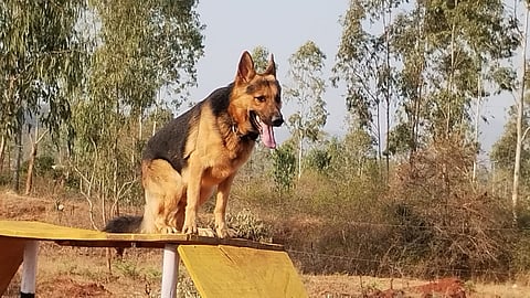 09Rajesh3
