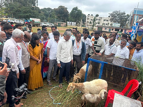 ವೈವಿಧ್ಯ ಉತ್ಪನ್ನಗಳನ್ನು ಖರೀದಿಸಲು ಸುವರ್ಣಾವಕಾಶ
