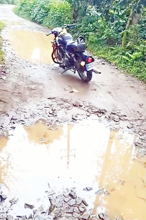 11.npk .2