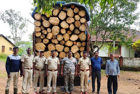16skpp2 blades forest