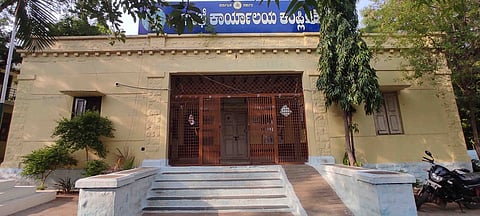 19 KAMPLI 01