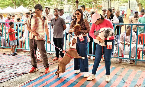 ಗಮನ ಸೆಳೆದ ವಿಶೇಷ ಶ್ವಾನ ಪ್ರದರ್ಶನ