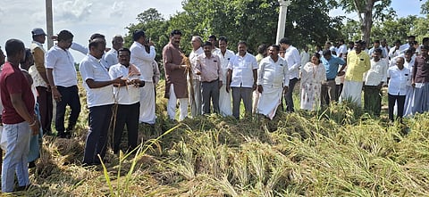 crop damage