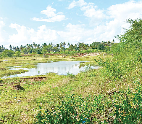 26_Gpt_Madrahalli Water