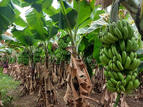 27Rajesh5