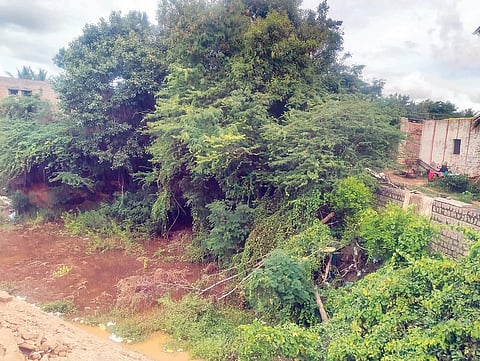 ಕುಕನೂರು ತಾಲೂಕಿನ ತಳಕಲ್ ಗ್ರಾಮದ ವೀರಭದ್ರೇಶ್ವರ ದೇವಸ್ಥಾನ ಮುಂಭಾಗದಲ್ಲಿರುವ ನೀರು ತುಂಬಿರುವ ತಗ್ಗು.