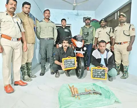 9MDG1 crime