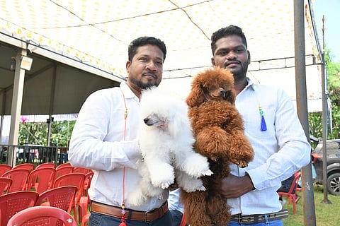 Dog show attracts attention in Mysore