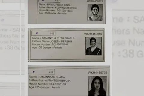Fake Voter ID