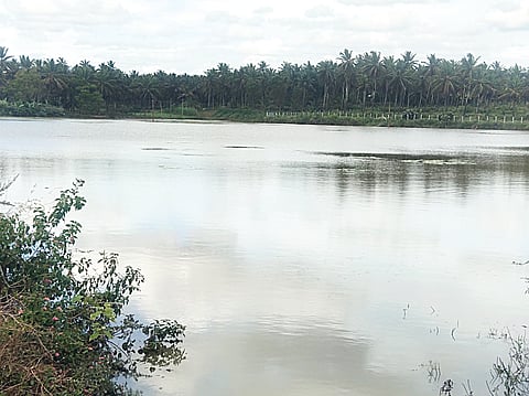 ಕೃಷಿ ಜಮೀನುಗಳಿಗೆ ನುಗ್ಗಿದ ಮಳೆ ನೀರು