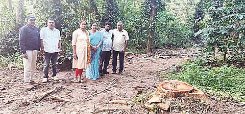 ಸಿಲ್ವರ್ ಮರ ಕಡಿದ ಜಾಗಕ್ಕೆ ಪಿಡಿಒ ಅಬ್ದುಲ್ಲ, ಪಂಚಾಯಿತಿ ಅಧ್ಯಕ್ಷೆ  ಕವಿತಾ ಬೆಳ್ಯಪ್ಪ ಹಾಗೂ ಅರಣ್ಯಾಧಿಕಾರಿಗಳು ಭೇಟಿ ನೀಡಿ ಪರಿಶೀಲನೆ ನಡೆಸುತ್ತಿರುವುದು.