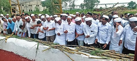 Target to crush 6 lakh tonnes of sugarcane this year