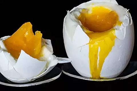 Boiled Egg