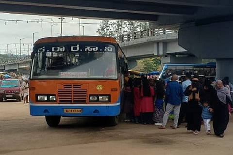 bus