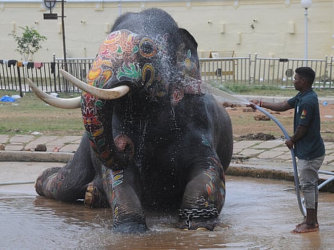 mysore