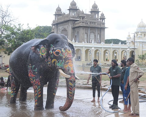 mysore