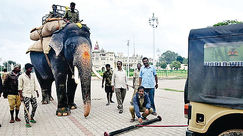 mysore