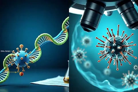 New virus