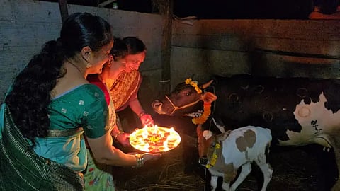 kls goopooja