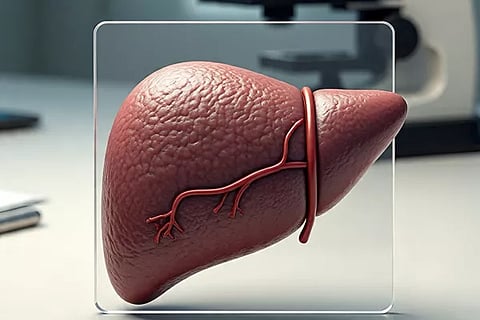 Liver Health