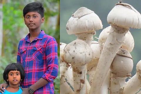 Mushroom farmers