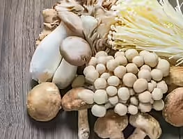 mushroom