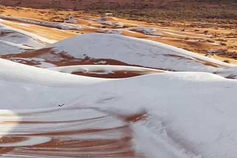 Sahara Desert