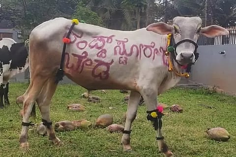 sgr govu pooje