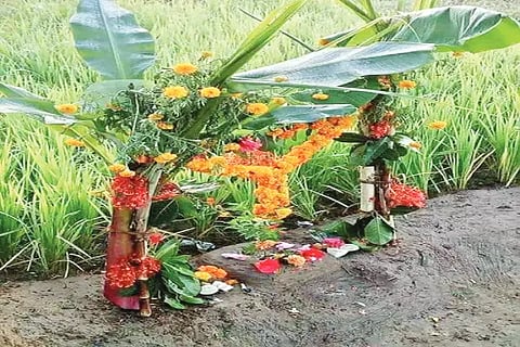 sri bommi